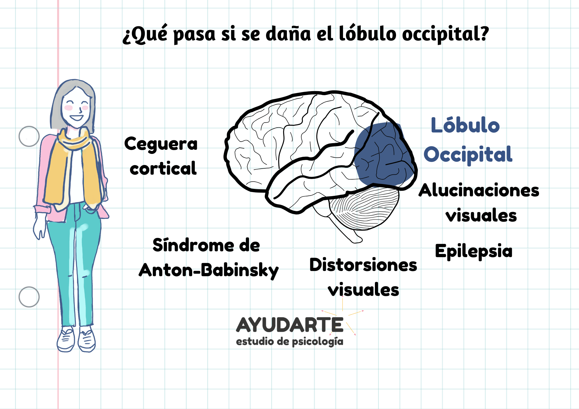 lesiones lobulo occipital